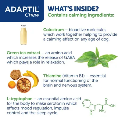 Adaptil Chew contains calming ingredients: colostrum for calming, green tea extract for relaxation, thiamine for brain and nervous system, and L-tryptophan for mood regulation.