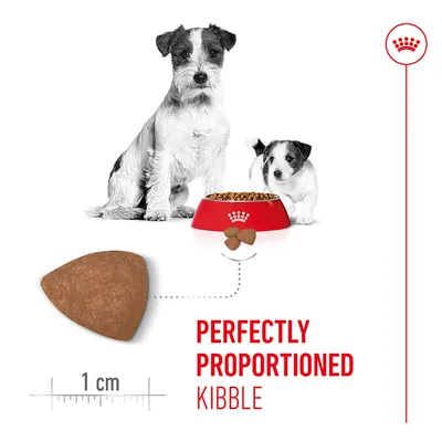 Image of a triangular dry food piece with a 1 cm scale and text: Perfectly proportioned kibble. Two dogs and a bowl with food are visible. Image of a triangular dry food piece with a 1 cm scale and text: Perfectly proportioned kibble. Two dogs and a bowl with food are visible.