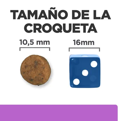 Comparativa de tamaño: croqueta redonda de 10,5 mm junto a un dado azul de 16 mm. Texto: 'Tamaño de la croqueta'.