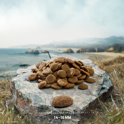 Croquetas de pienso marrón sobre una roca, con regla que indica tamaño de 14–16 mm.