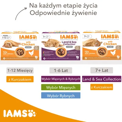 IAMS karmy dla kotów: 1–12 miesięcy z kurczakiem, 1–6 lat wybór mięsnych i rybnych, 7+ lat Land & Sea Collection lub z kurczakiem. Widoczne opakowania i kategorie wiekowe.