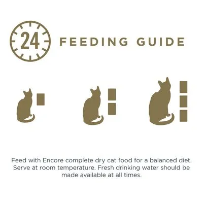 Voedingsadvies voor katten: drie kattensilhouetten met toenemende portiegroottes, tekst '24 Feeding Guide'. Engelstalige instructie over Encore droogvoer en vers drinkwater.
