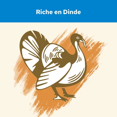 Texte « Riche en Dinde » avec illustration d’une dinde stylisée sur fond orange. Mention de la teneur élevée en dinde visible dans l’image.