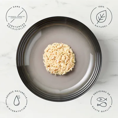 Lot mixte Encore en bouillon 5 x 156 g boîtes pour chien