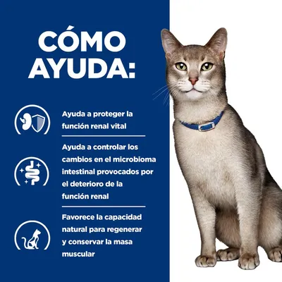 Texto: Cómo ayuda. Ayuda a proteger la función renal vital. Ayuda a controlar los cambios en el microbioma intestinal provocados por el deterioro de la función renal. Favorece la capacidad natural para regenerar y conservar la masa muscular.