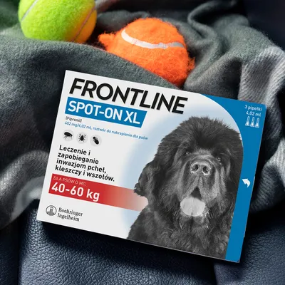 FRONTLINE SPOT-ON XL, 402 mg/4,02 ml, roztwór do nakrapiania dla psów 40–60 kg. Leczenie i zapobieganie inwazjom pcheł, kleszczy i wszołów. 3 pipetki. Boehringer Ingelheim.
