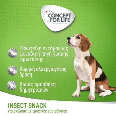 CONCEPT FOR LIFE. Πρωτεΐνη εντόμου ως μοναδική πηγή ζωικής πρωτεΐνης, χαμηλή αλλεργιογόνος δράση, χωρίς προσθήκη δημητριακών. INSECT SNACK για σκύλους με τροφικές ευαισθησίες.