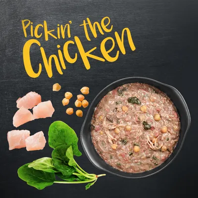 Pickin' the Chicken. Sestavine: koščki piščanca, čičerika, sveža špinača. Prikazano: skleda z mokro hrano iz navedenih sestavin.