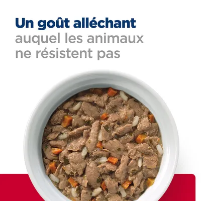 Un goût alléchant auquel les animaux ne résistent pas, texte visible au-dessus d'une gamelle de nourriture humide avec morceaux de viande, carottes et riz.