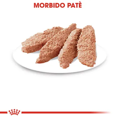 Morbido patè su piatto bianco, quattro fette di alimento umido per animali. Testo visibile: MORBIDO PATÈ.