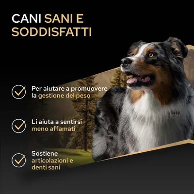 CANI SANI E SODDISFATTI. Per il sostegno nella gestione del peso, meno sensazione di fame e articolazioni e denti sani.
