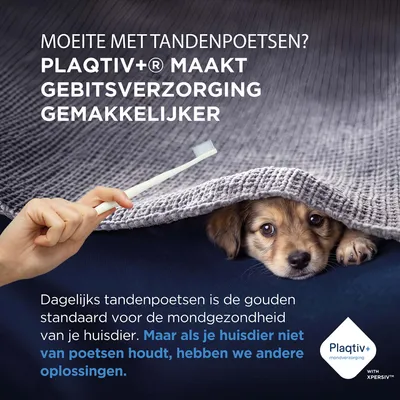 Plaqitv+ maakt gebitsverzorging eenvoudiger. Als uw huisdier niet van tandenpoetsen houdt, zijn er andere oplossingen. Plaqtiv+ mondverzorging met XPERSIV. Plaqitv+ maakt gebitsverzorging eenvoudiger. Als uw huisdier niet van tandenpoetsen houdt, zijn er andere oplossingen. Plaqtiv+ mondverzorging met XPERSIV.