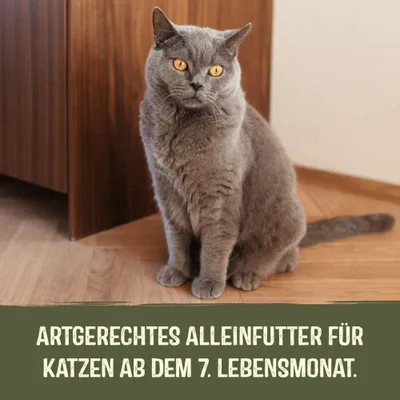 Aliment complet adapté pour les chats à partir du 7ᵉ mois de vie. Aliment complet adapté pour les chats à partir du 7ᵉ mois de vie.