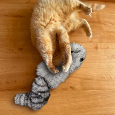 Aumüller kattenspeelkussen Wasbeer Wol - 1 stuk Aumüller kattenspeelkussen Wasbeer Wol - 1 stuk