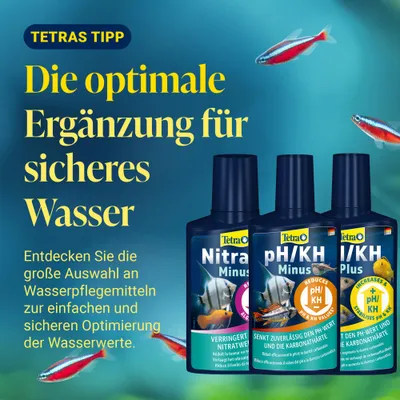 Tetra Tipp: Die optimale Ergänzung für sicheres Wasser. Große Auswahl an Wasserpflegemitteln zur sicheren Optimierung der Wasserwerte, z.B. Tetra NitratMinus und pH/KH Plus. Tetra Tipp: Die optimale Ergänzung für sicheres Wasser. Große Auswahl an Wasserpflegemitteln zur sicheren Optimierung der Wasserwerte, z.B. Tetra NitratMinus und pH/KH Plus.
