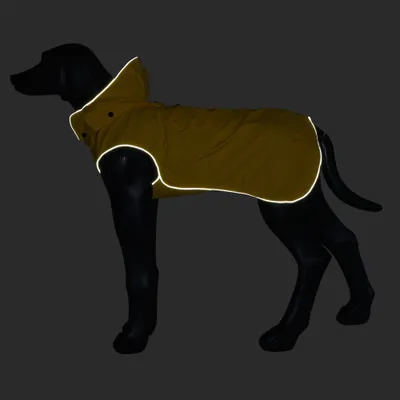 Hundemantel mit reflektierenden Nähten, auf einem schwarzen Hundemodell präsentiert. Reflektierende Kanten für bessere Sichtbarkeit bei Dunkelheit. Hundemantel mit reflektierenden Nähten, auf einem schwarzen Hundemodell präsentiert. Reflektierende Kanten für bessere Sichtbarkeit bei Dunkelheit.