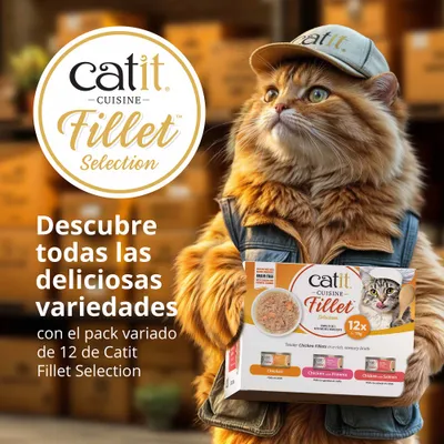 catit Cuisine Fillet Selection. Descubre todas las deliciosas variedades con el pack mixto de 12 Catit Fillet Selection. catit Cuisine Fillet Selection. Descubre todas las deliciosas variedades con el pack mixto de 12 Catit Fillet Selection.