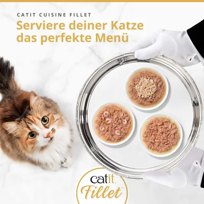 Catit Cuisine Filet. Servez à votre chat le menu parfait. Trois coupelles de nourriture pour chat sur un plateau, logo Catit Filet visible. Catit Cuisine Filet. Servez à votre chat le menu parfait. Trois coupelles de nourriture pour chat sur un plateau, logo Catit Filet visible.