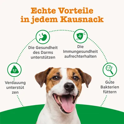 Echte Vorteile in jedem Kausnack: Die Gesundheit des Darms unterstützen, die Immungesundheit aufrechterhalten, Verdauung unterstützen, gute Bakterien füttern. Echte Vorteile in jedem Kausnack: Die Gesundheit des Darms unterstützen, die Immungesundheit aufrechterhalten, Verdauung unterstützen, gute Bakterien füttern.