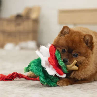Beeztees Hundespielzeug Weihnachtsbaum - Fir: L 30 x B 20 x H 15 cm