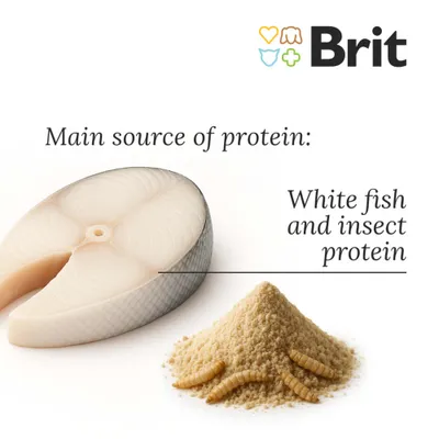 Brit Care Dog Sustainable Sensitive Fish & Insect