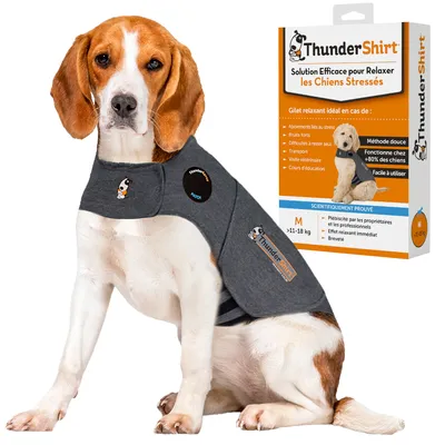 Chien portant un gilet ThunderShirt gris, boîte visible : Solution efficace pour relaxer les chiens stressés, taille M >11–18 kg, méthode douce, facile à utiliser, effet relaxant immédiat.