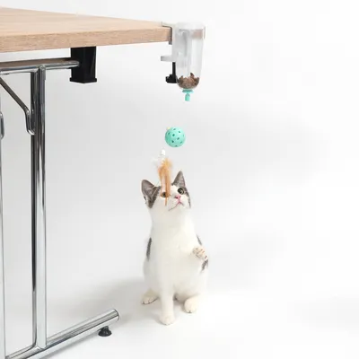 Dispenser di cibo con palla gioco e piuma, fissato al tavolo. Gatto interagisce con il gioco sospeso.