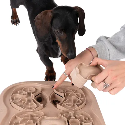 Interactive dog toy with compartments for snacks. A hand points to a compartment while a dog looks at the toy.