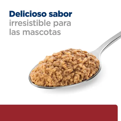 Cucharada de comida húmeda para mascotas con texto: Delicioso sabor irresistible para las mascotas.