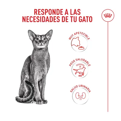 Royal Canin Fussy Exigent