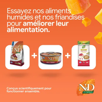N&D Pumpkin Croquettes, aliments humides et friandises. Développés scientifiquement pour améliorer ensemble l’alimentation.