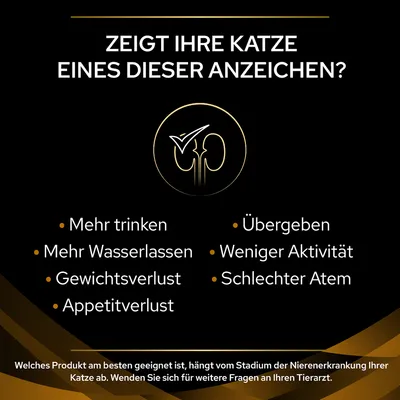 Zeigt Ihre Katze eines dieser Anzeichen? Mehr trinken, mehr Wasserlassen, Gewichtsverlust, Appetitverlust, Übergeben, weniger Aktivität, schlechter Atem. Fragen Sie Ihren Tierarzt.