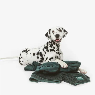 Dalmatian lying on green dog blankets with visible 'Kron' logo.