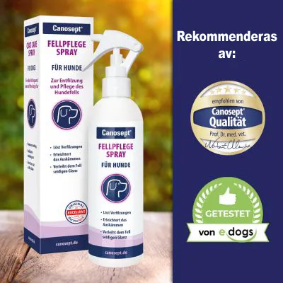 Canosept Fellpflege Spray für Hunde, synlig text på förpackning och flaska. Rekommenderas av Canosept Qualität och testad av e-dogs enligt märkningar till höger.