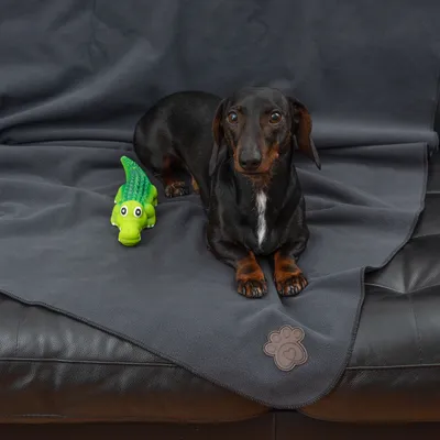 Hund auf grauer Decke mit Pfoten-Logo, neben grünem Krokodil-Spielzeug. Produkt zeigt Nutzung von Haustierdecke und Spielzeug.