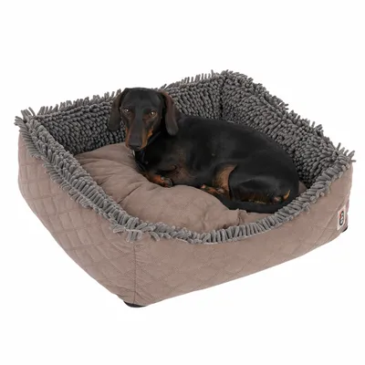 Hund liegt in einem grauen, gepolsterten Hundebett mit weicher Umrandung und gestepptem Design.