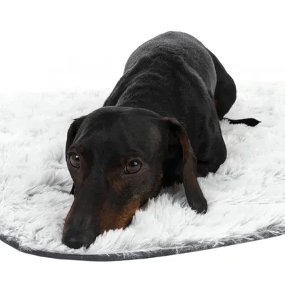 Schwarzer Hund liegt auf einer weissen, flauschigen Matte. Produkt zeigt Komfort und Nutzung der Matte.