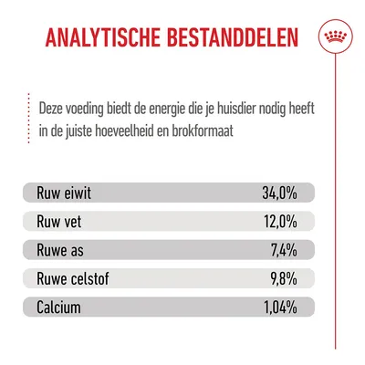 Royal Canin Kitten Sterilised