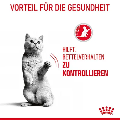 Vorteil für die Gesundheit: Hilft, Bettelverhalten zu kontrollieren. Abgebildet ist eine stehende Katze und ein Symbol mit einer Katze im Kreis.