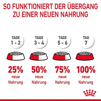 Übergang zu neuer Nahrung: Tage 1-2, 25% neue Nahrung; Tage 3-4, 50%; Tage 5-6, 75%; Tag 7, 100%.