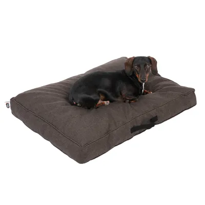 Hund liegt auf einem braunen rechteckigen Hundekissen mit Tragegriff. Kissen zeigt gepolsterte Oberfläche und robustes Design.