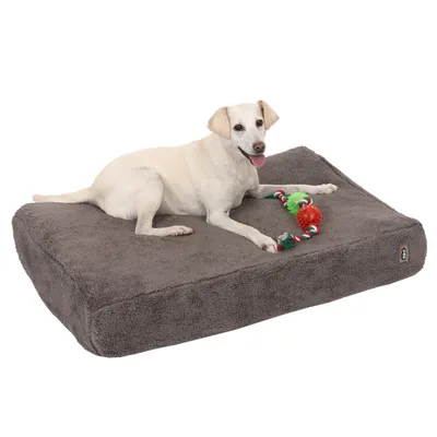 Hund liegt auf grauem, rechteckigem Hundebett mit Plüschbezug und spielt mit einem bunten Seilspielzeug.