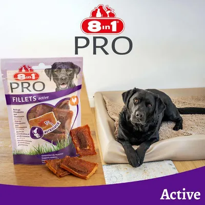 8in1 PRO Fillets active, rig på chondroitin og glucosamin, understøtter mobiliteten. Afbildet: Produktpakning med hund og fillet-stykker, teksten Active. 8in1 PRO Fillets active, rig på chondroitin og glucosamin, understøtter mobiliteten. Afbildet: Produktpakning med hund og fillet-stykker, teksten Active.