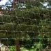 Katzennetz transparent