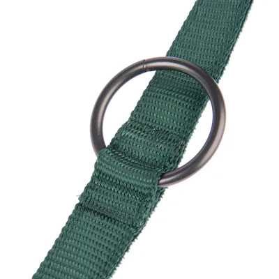 Grönt nylonband med svart metallring, detaljbild av hundhalsband.