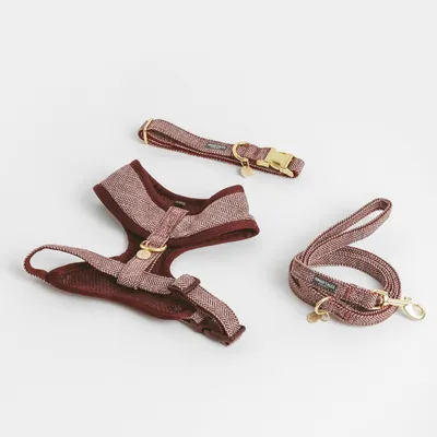 Set aus Hundegeschirr, Halsband und Leine in rotbraunem Fischgrätenmuster mit goldfarbenen Metallverschlüssen und Anhängern.