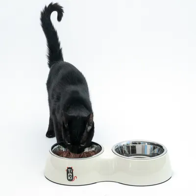 Black cat eating from a white double bowl with stainless steel inserts. The 'Taki' logo is visible on the bowl.