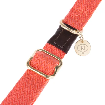Närbild av ett orange halsband med gyllene spänne, brunt läderdetalj och rund berlock med ingraverad 'NT'-logotyp.