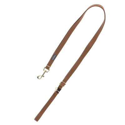 Laisse pour chien en nylon marron avec mousqueton métallique et boucle de réglage, étiquette visible portant l’inscription Hunter.