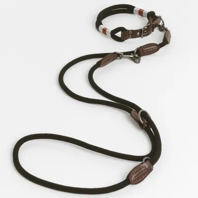 Schwarze Hundeleine mit braunen Lederdetails und Metallverschlüssen, inklusive passendem Halsband mit reflektierenden Streifen.